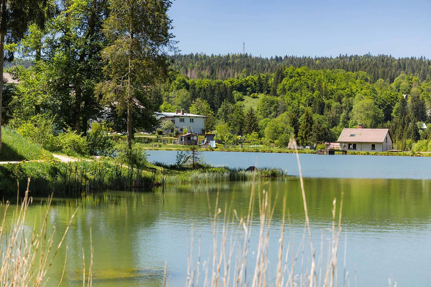 Photo : Lac des Bruyères