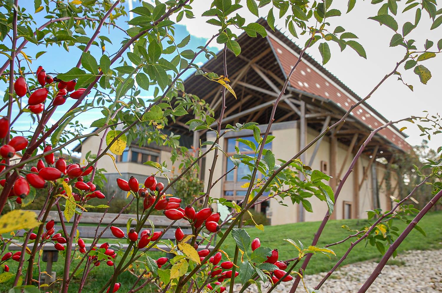 Photo : La Damassine, maison de la Nature et des Vergers
