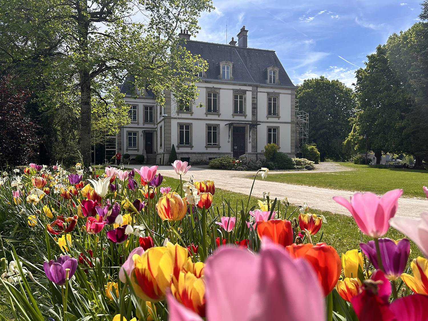 Photo : Centre d'Art d'Audincourt - Donation Patt