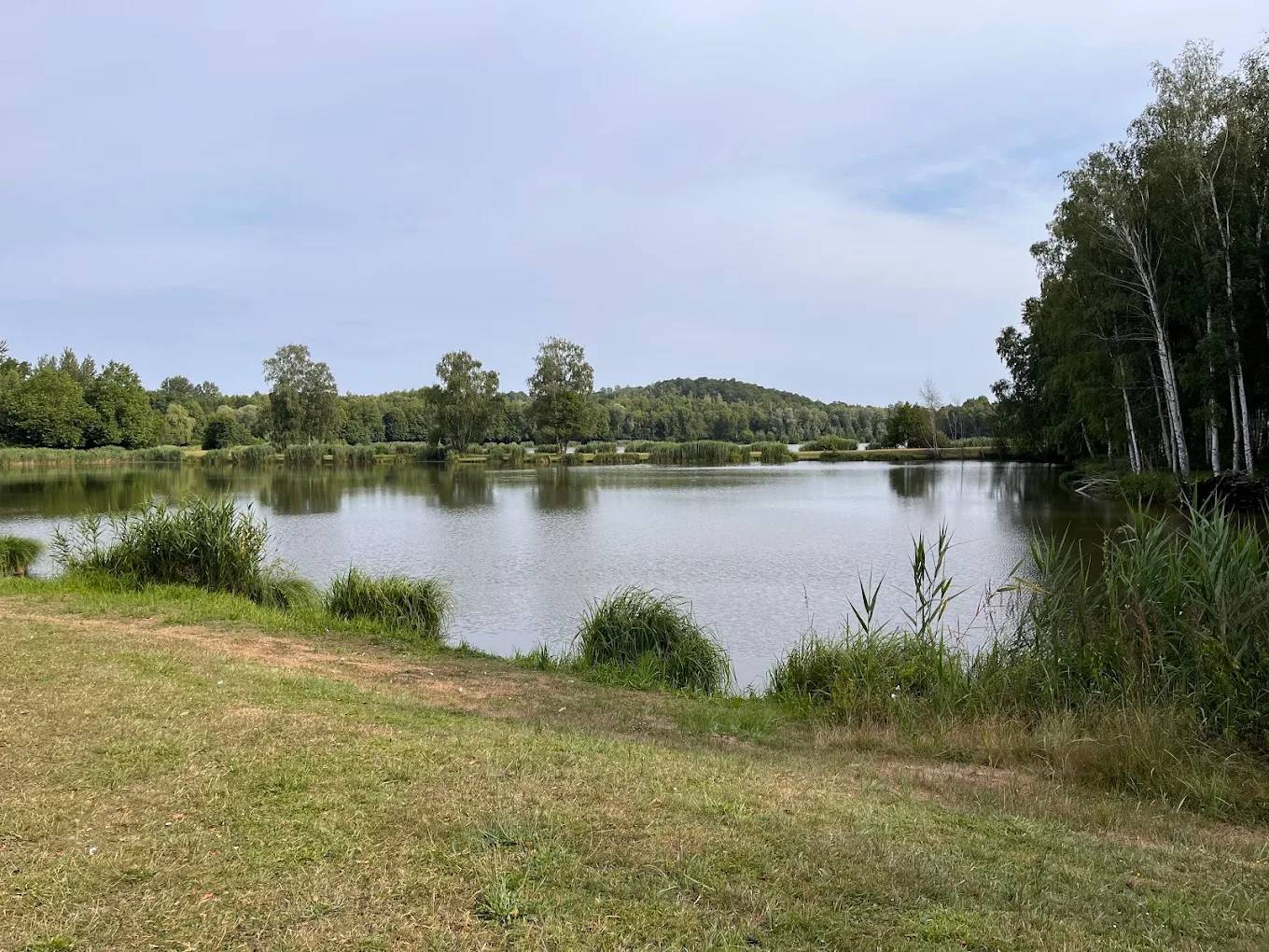 Photo : Parc des bruyères