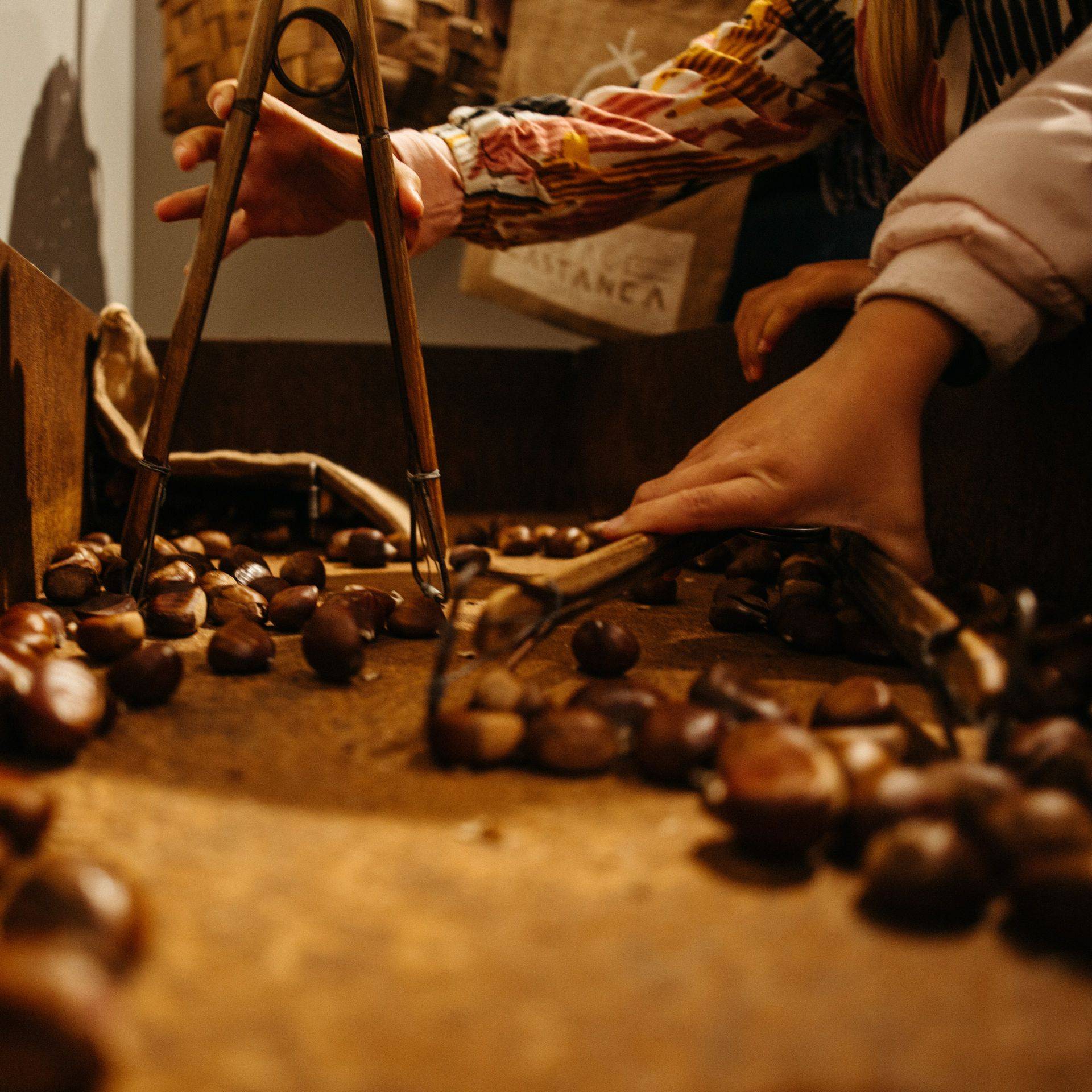 Photo : Castanea - Espace Découverte de la Châtaigne d'Ardèche