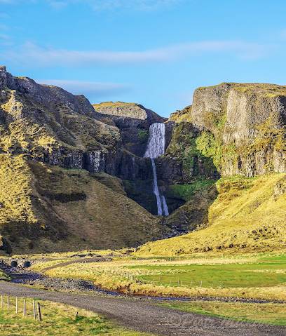 Photo : Bugsfoss