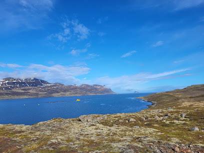 Photo : Fjord view point