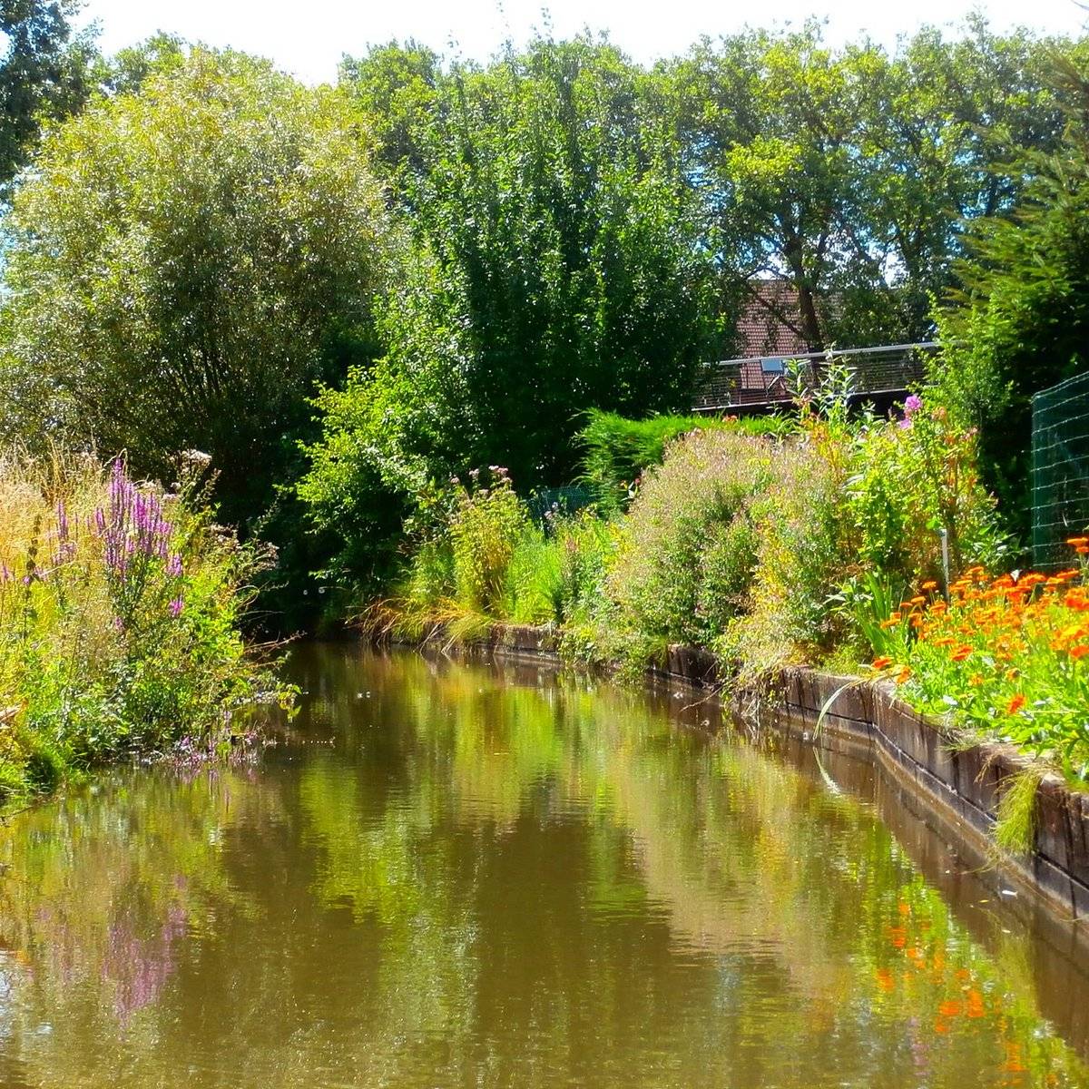 Photo : Les Hortillonnages et Vous