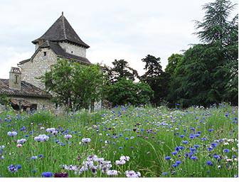 Photo de Château Vent d'Autan