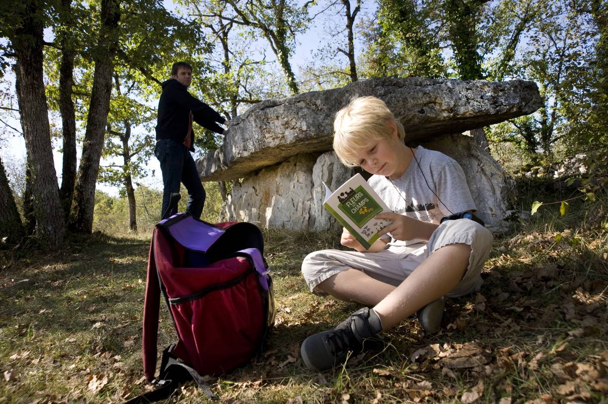 Photo de Dolmen de Pierre-Martine