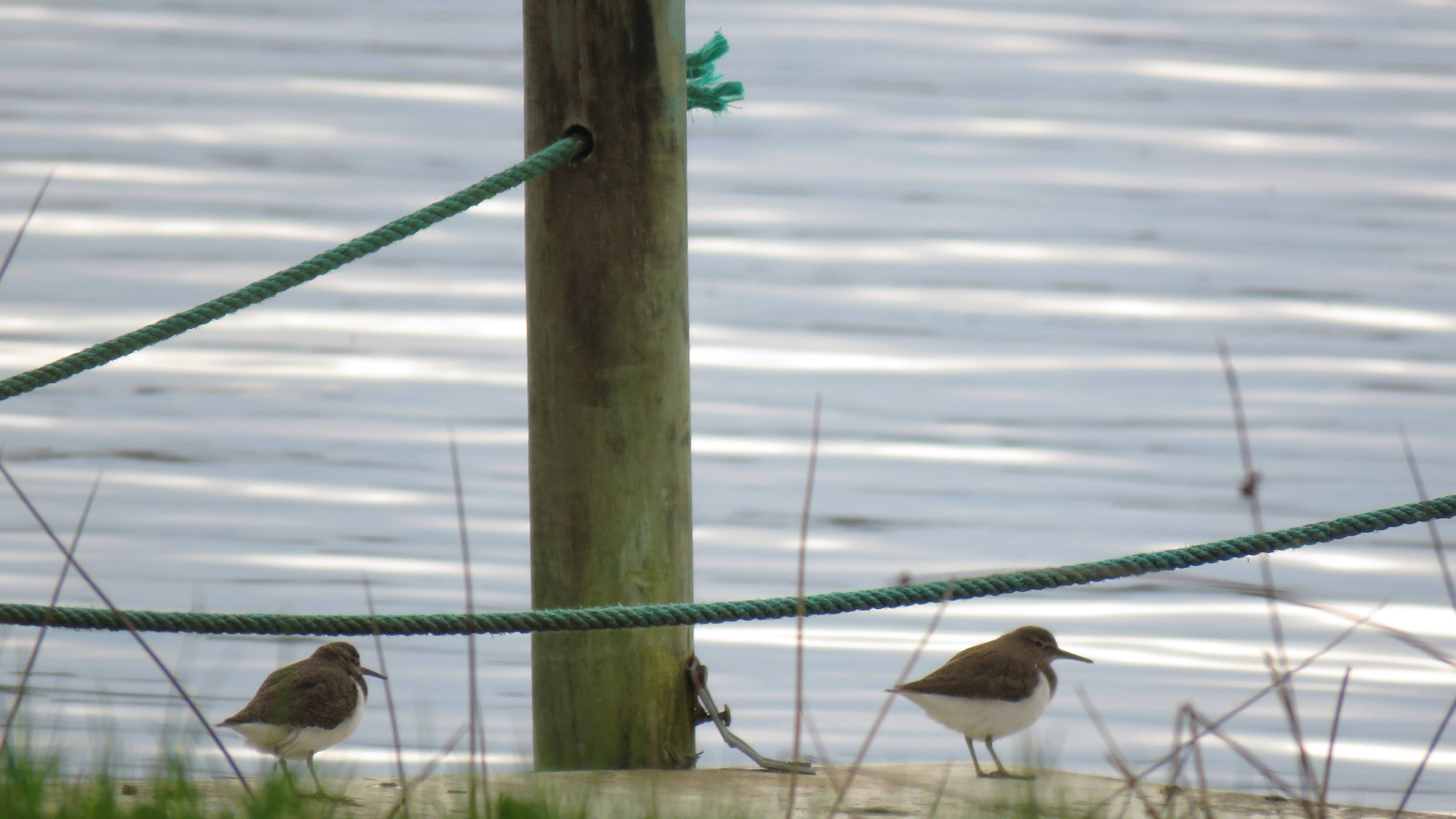 Photo de Étang de Méouze