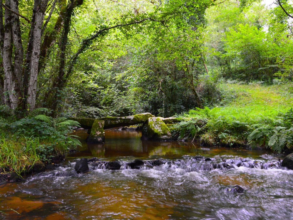 Photo de Pont des Graules