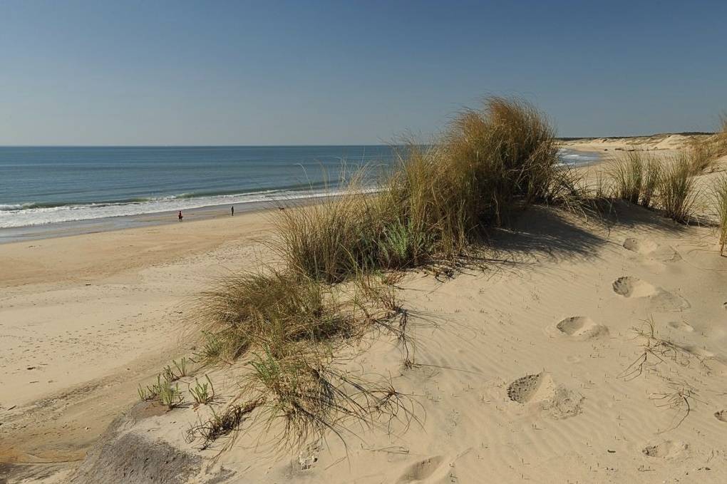 Photo de Plages Euronat (Dépée Centre et Sud) surveillées