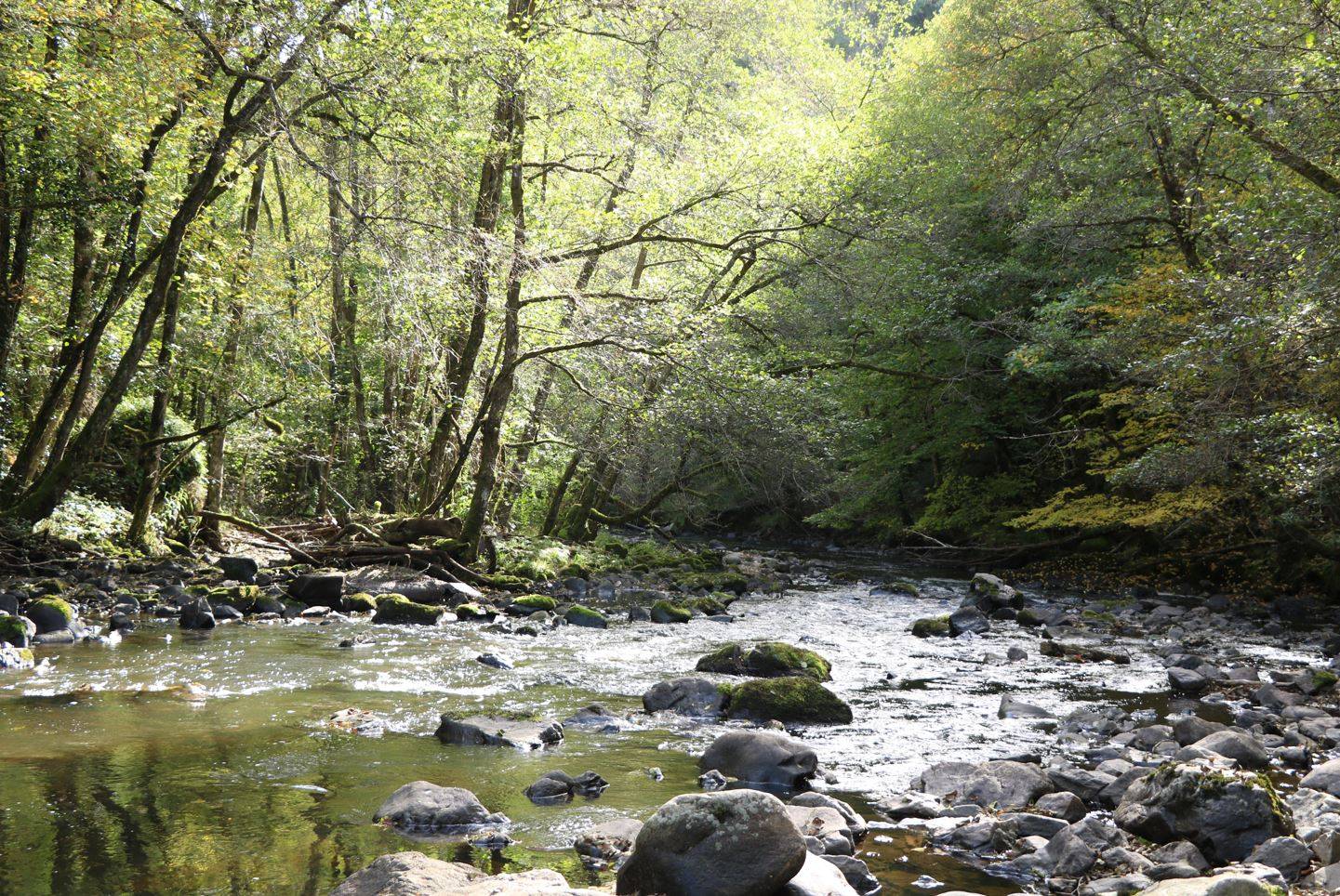Photo de La vallée du Chavanon