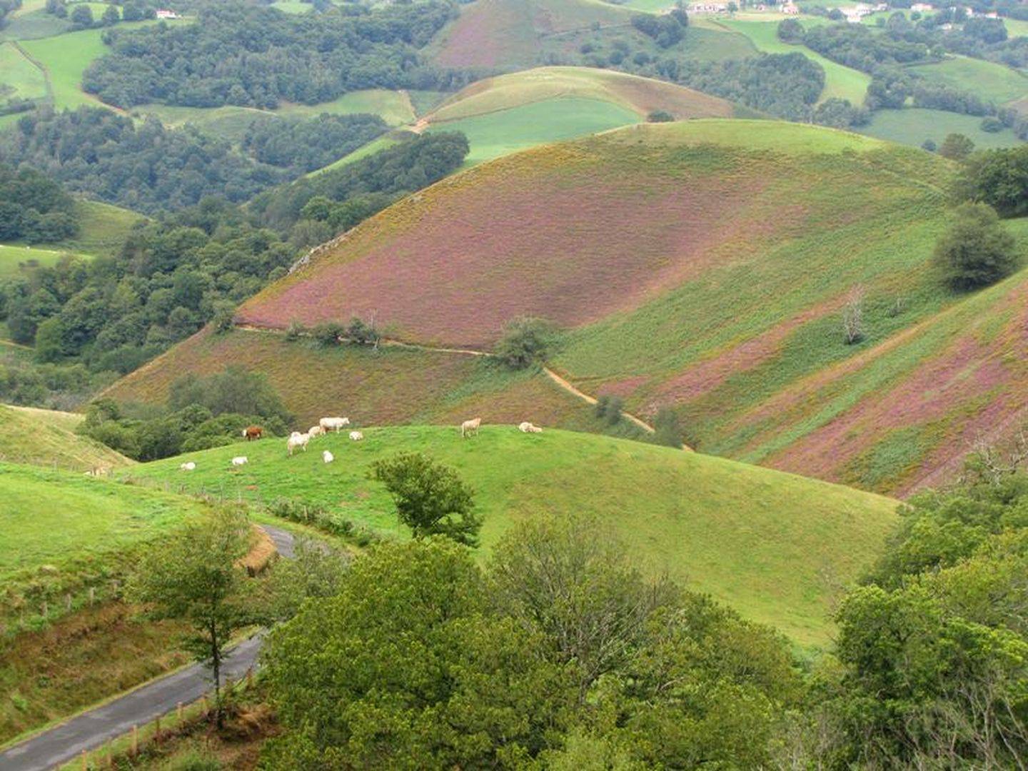 Photo : La Vallée des Aldudes