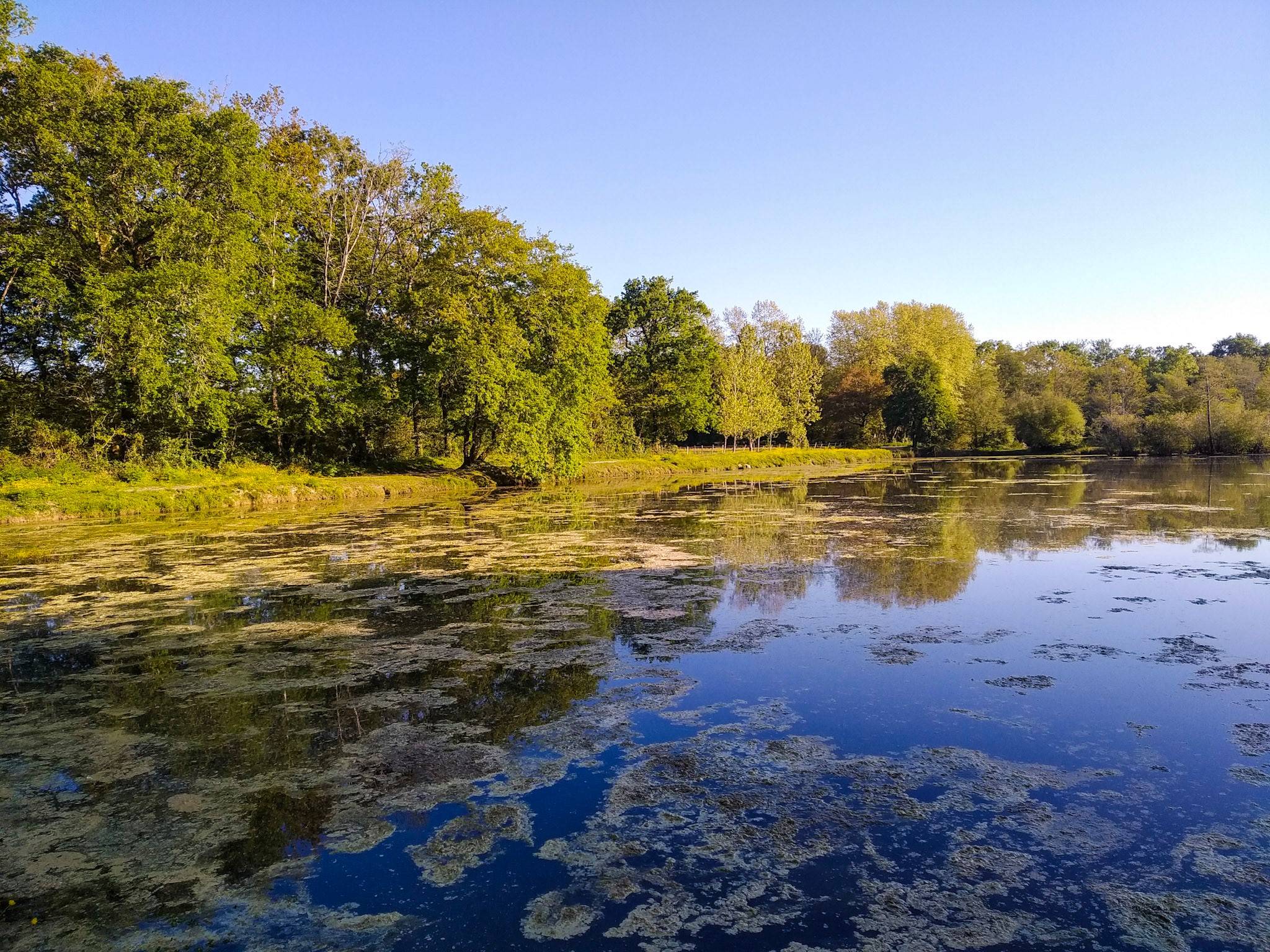 Photo : Etangs de la Gravière