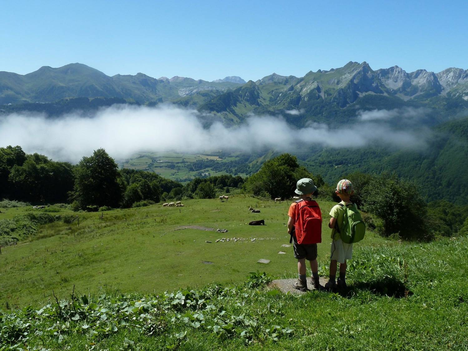 Photo : La route géologique de la Vallée d'Aspe