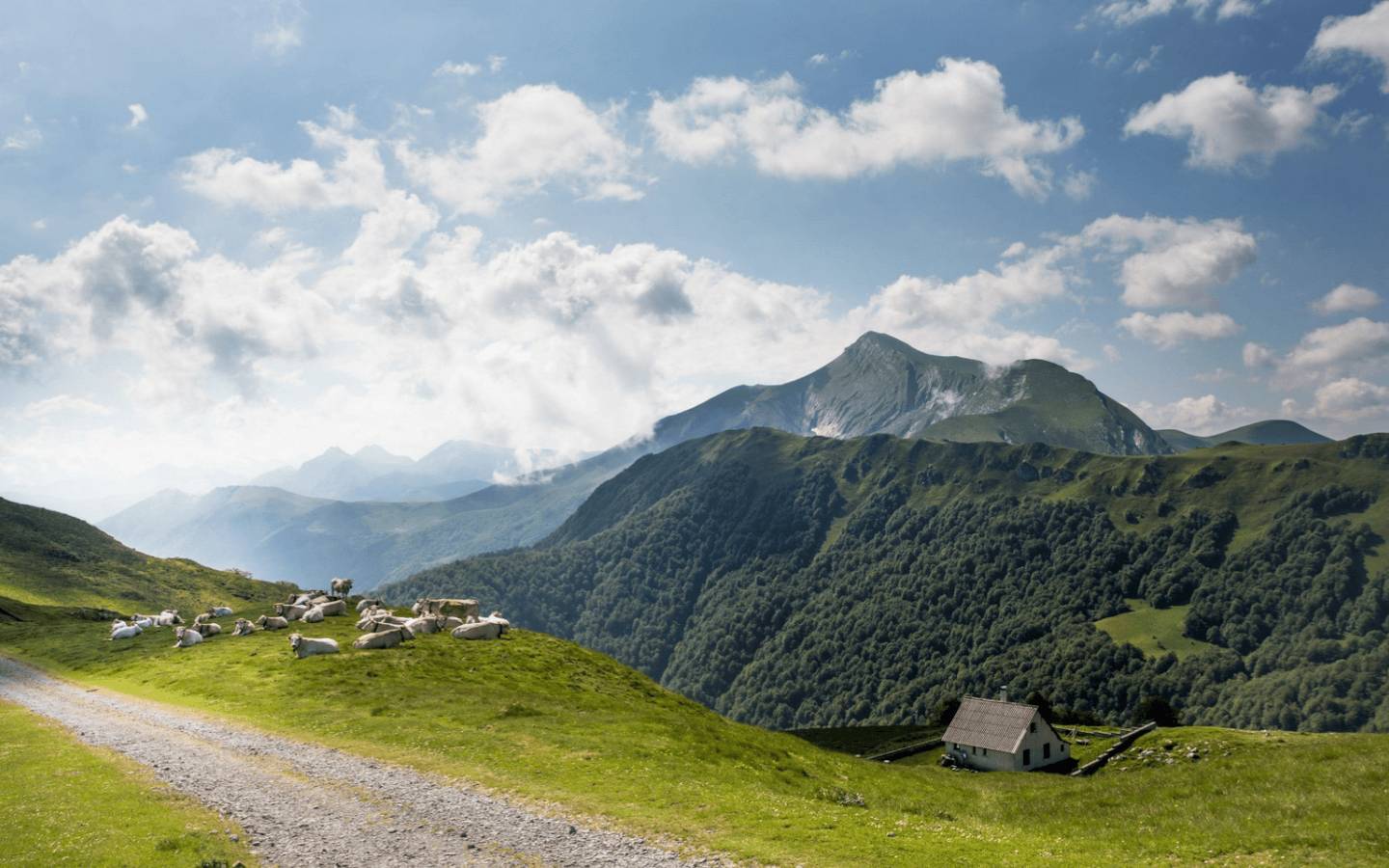 Photo : Forêt d'Iraty : panoramas époustouflants