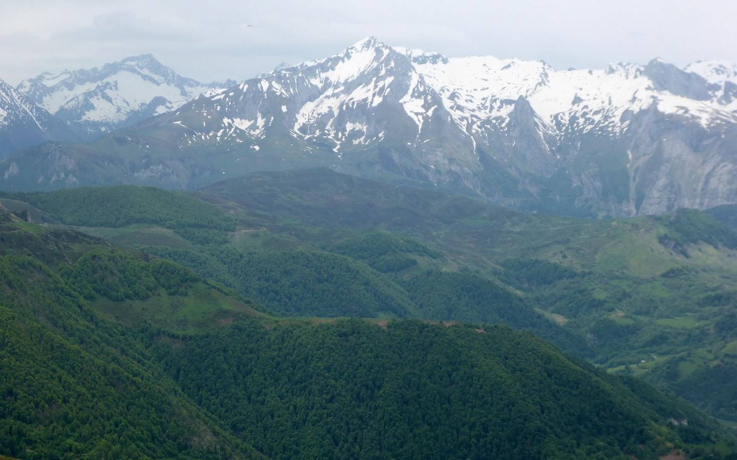 Photo de Le Belvédère du Monbula