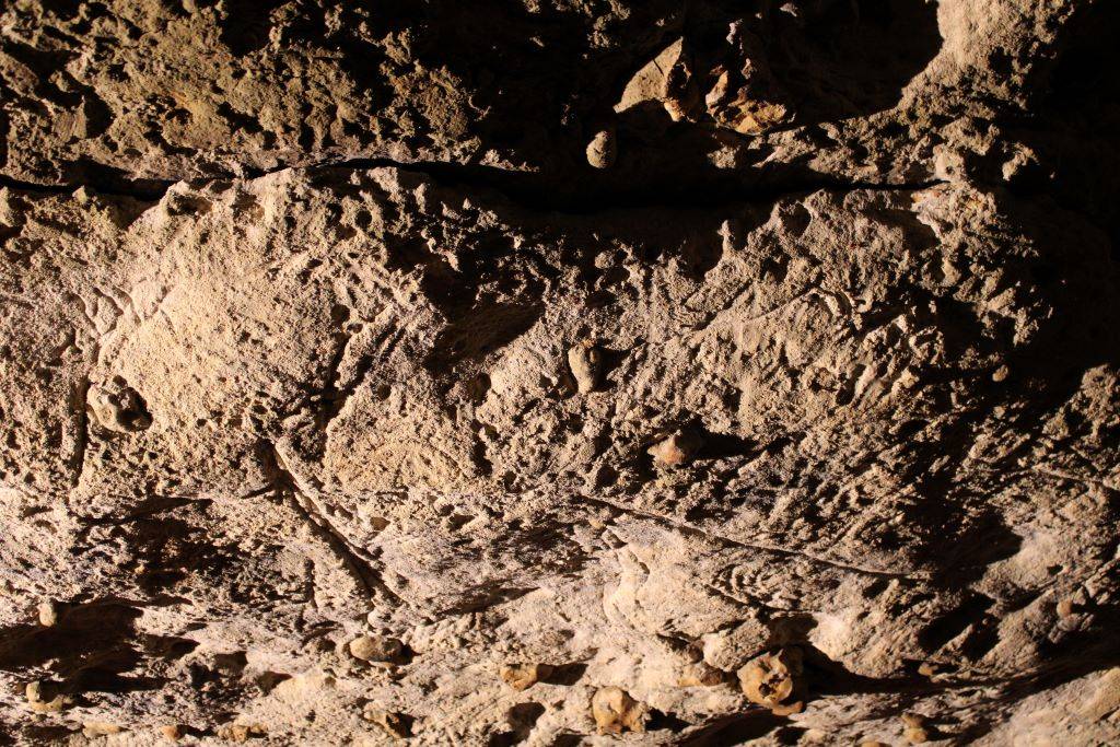 Photo de Grotte de Bara Bahau - Le Sanctuaire de l'Ours