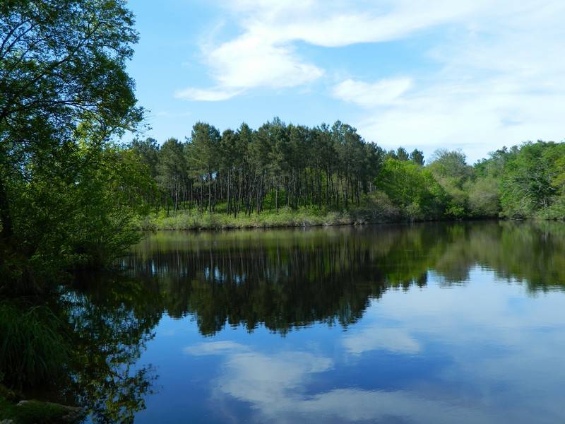 Photo : Étang du Lamond