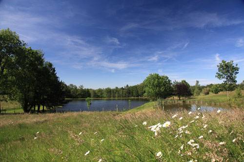 Photo de Étang municipal à Champs-Romain