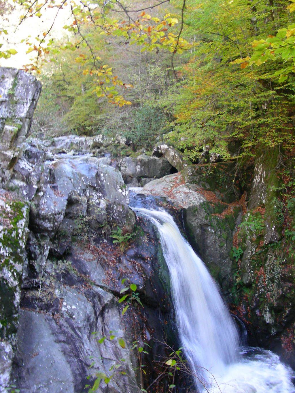 Photo de Saut de la Virole