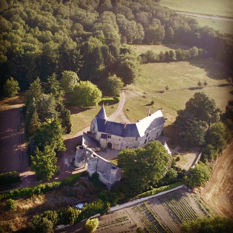 Photo de Château de la Roche-Martel