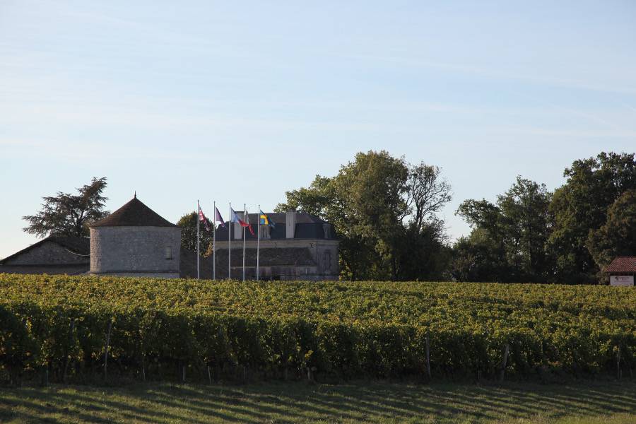 Photo de Château Montdoyen