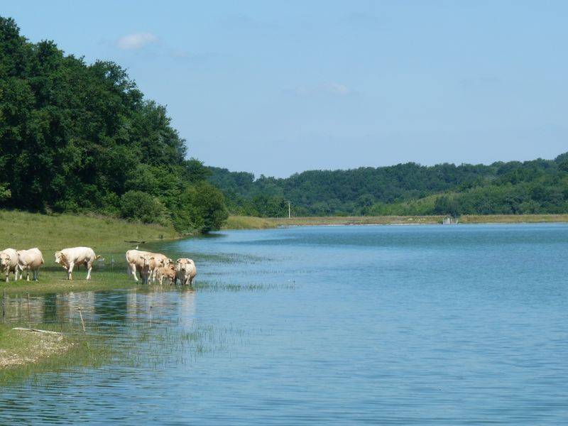 Photo de Lac de Boueilh-Boueilho-Lasque
