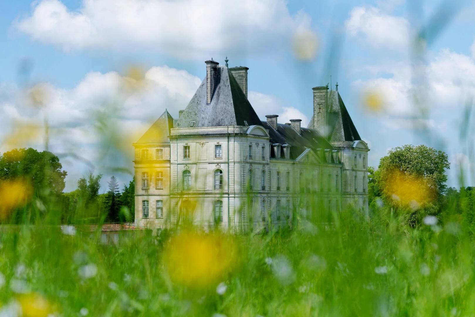 Photo de Château de Fayolle