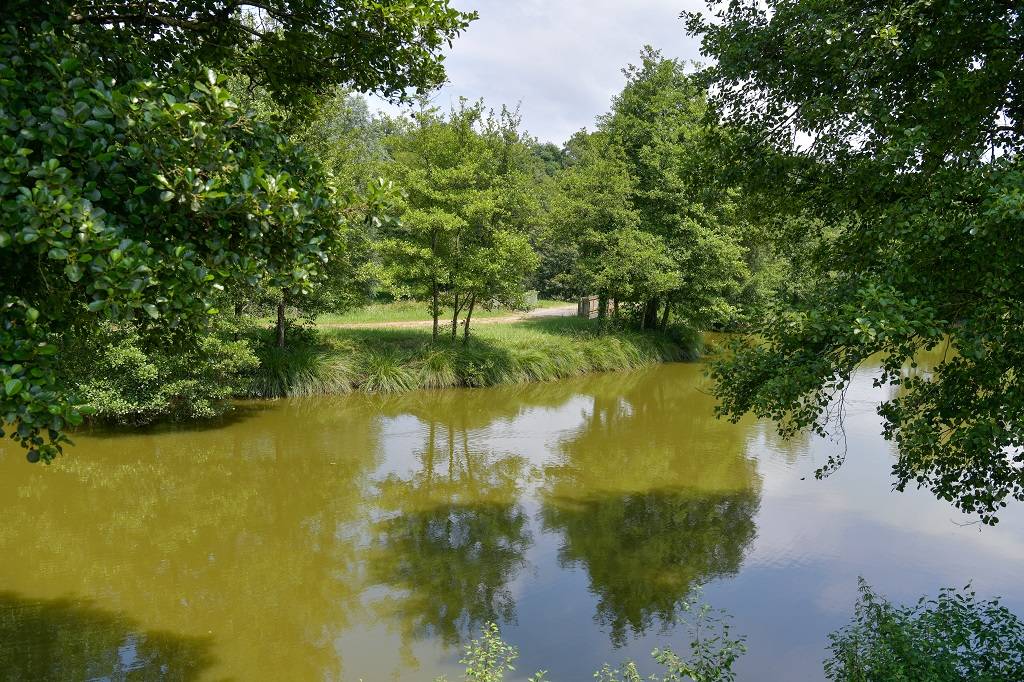 Photo : Lacs d'Halco