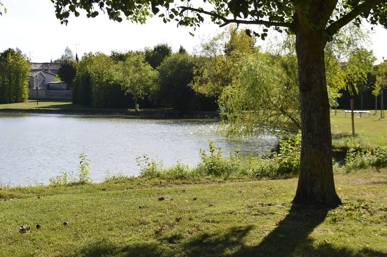 Photo de Etang de Chef-Boutonne