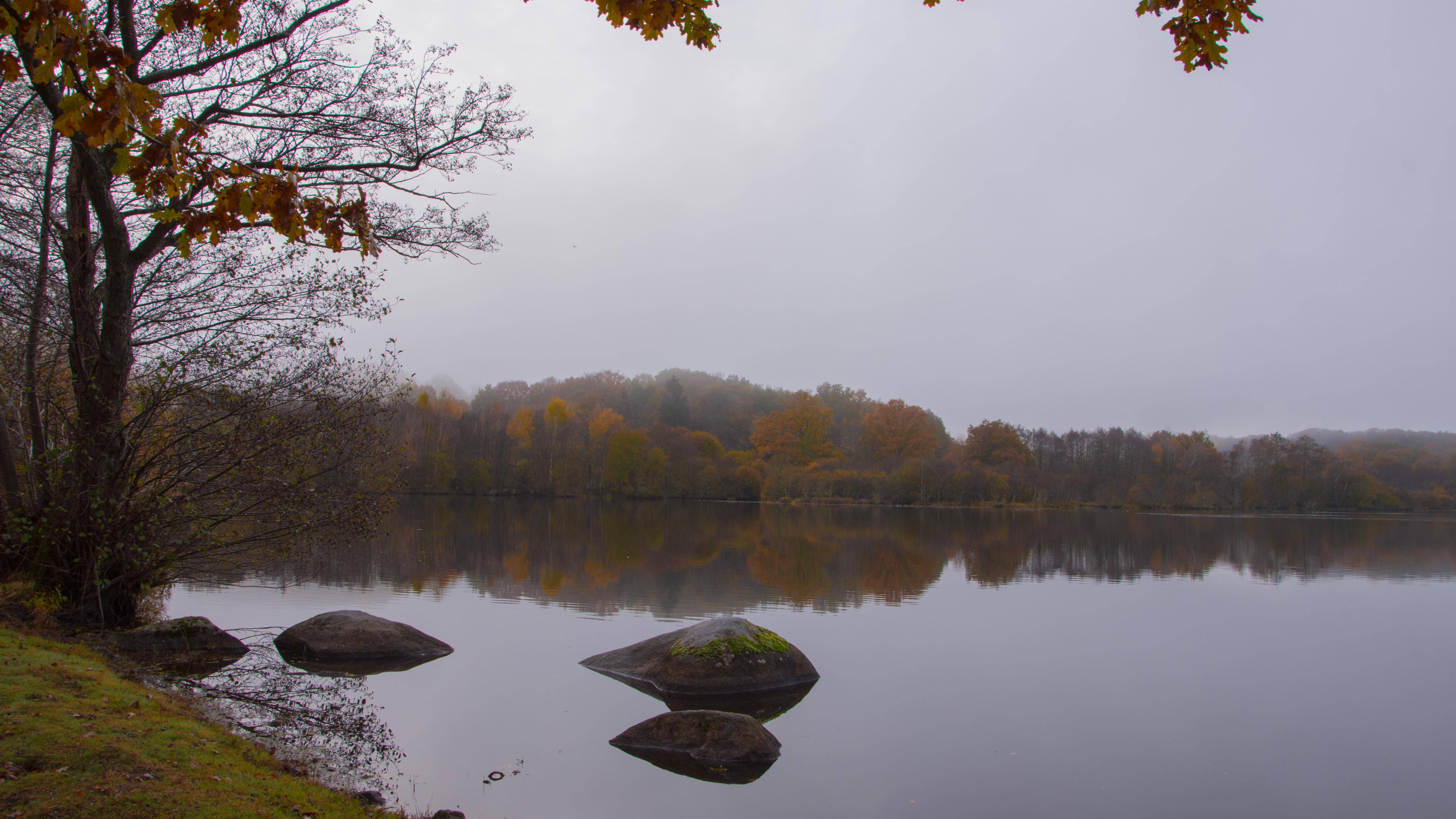 Photo de Etang du Puy