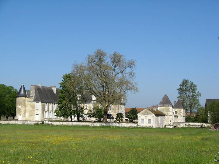 Photo de Château d'Abin