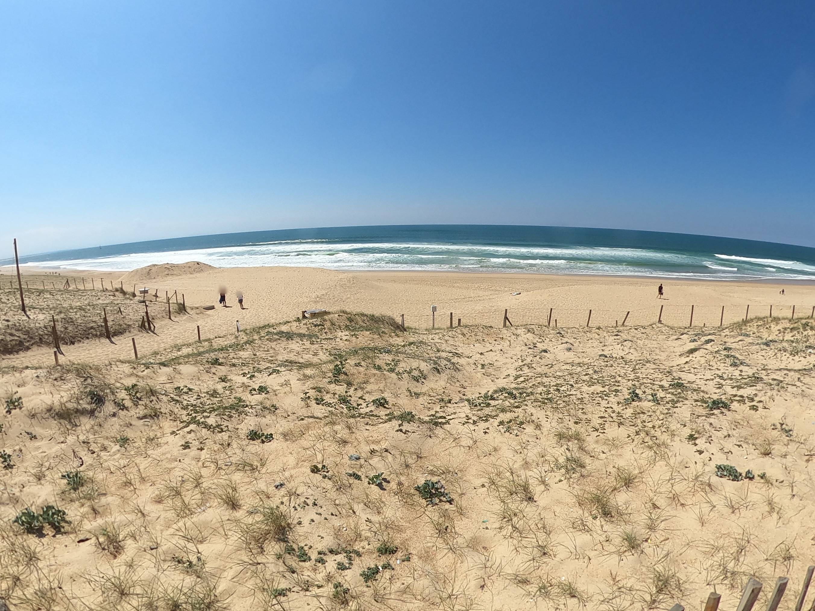 Photo : Plage Naturiste (Océan)