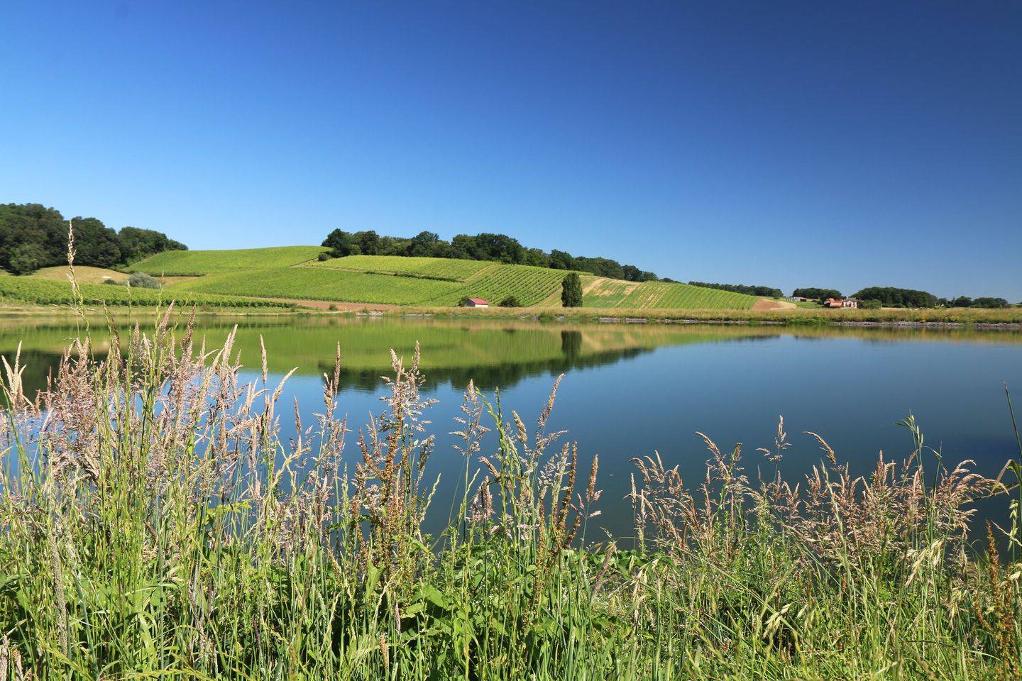 Photo de Lac d'Aydie