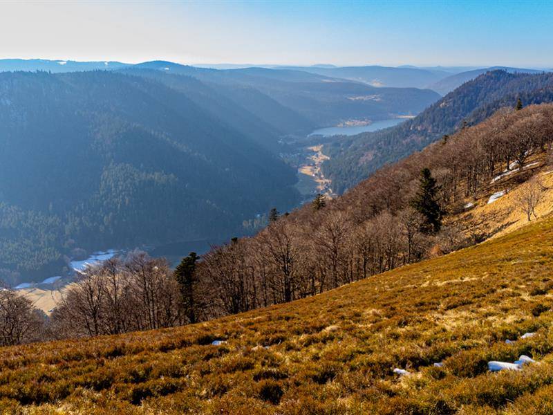 Photo de Le Haut gazon