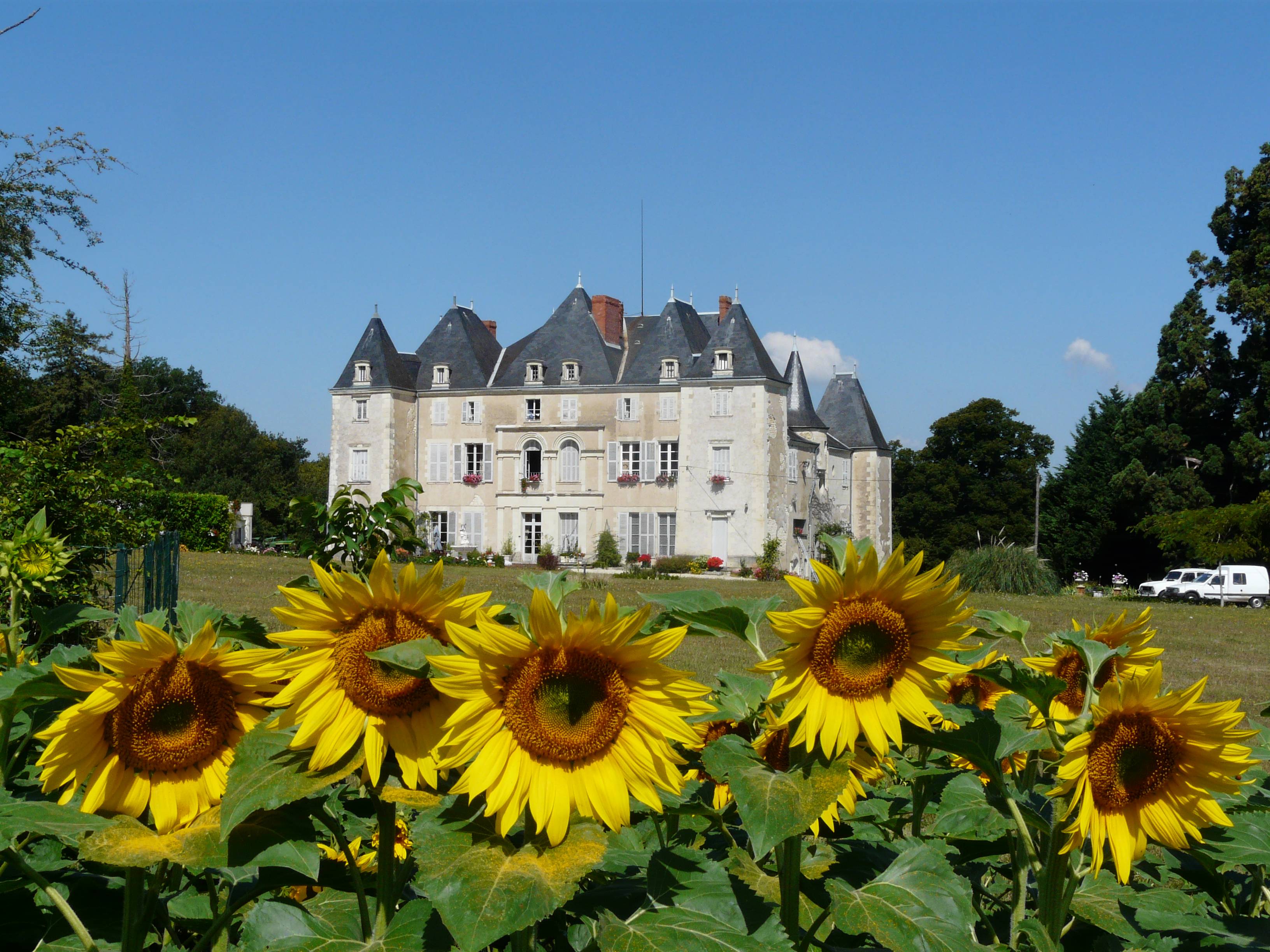 Photo de Château de Piolant