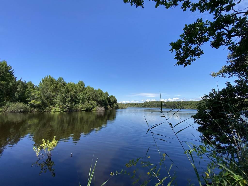 Photo : Étang de la Prade