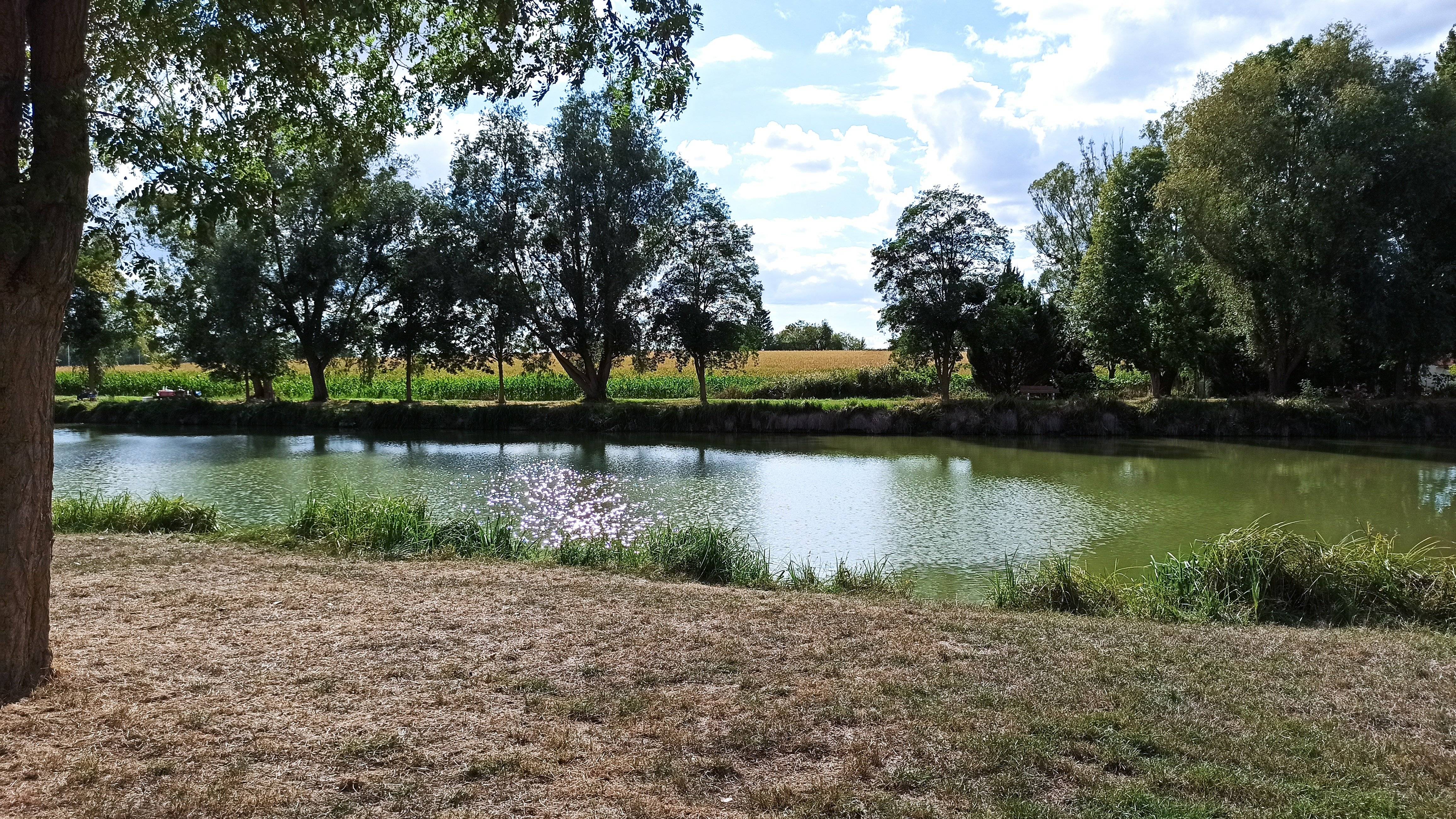 Photo de Etangs de Saint-Martin