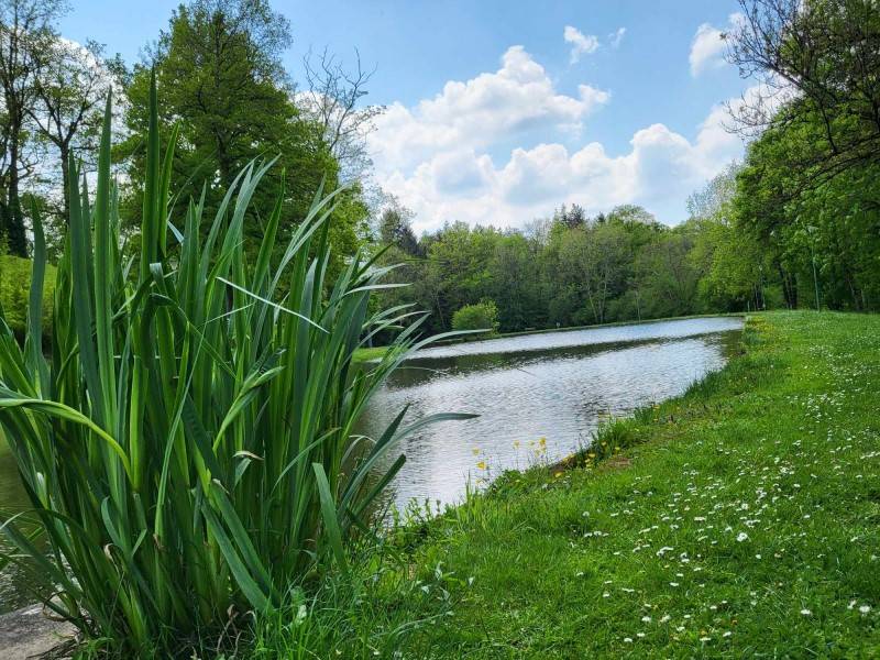 Photo de Plan d'eau communal de Busserolles