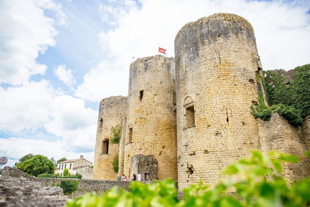 Photo de Château de Villandraut