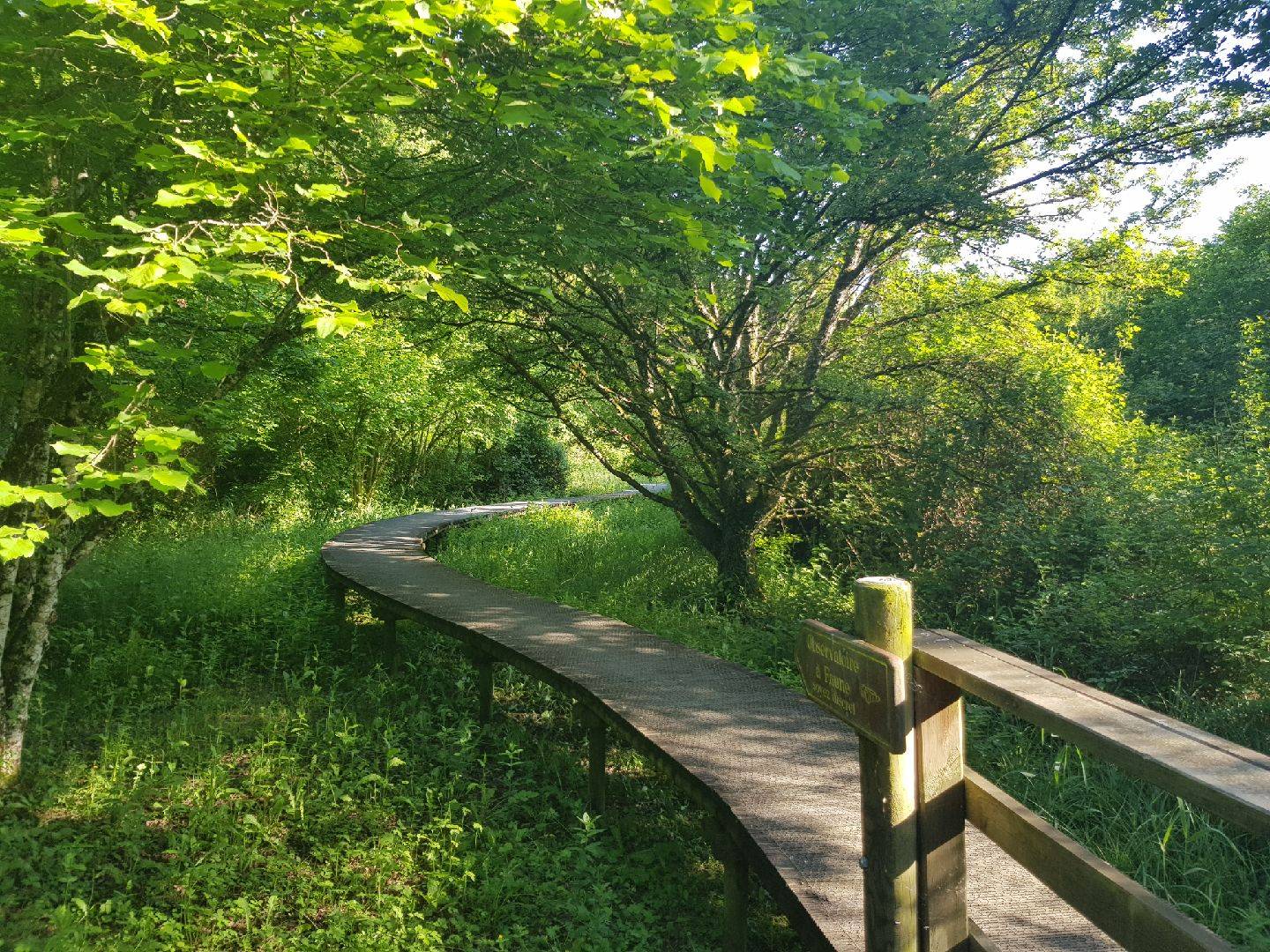 Photo de Jardins de La Clouère
