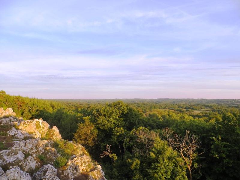 Photo de Les landes de la Butte de Frochet