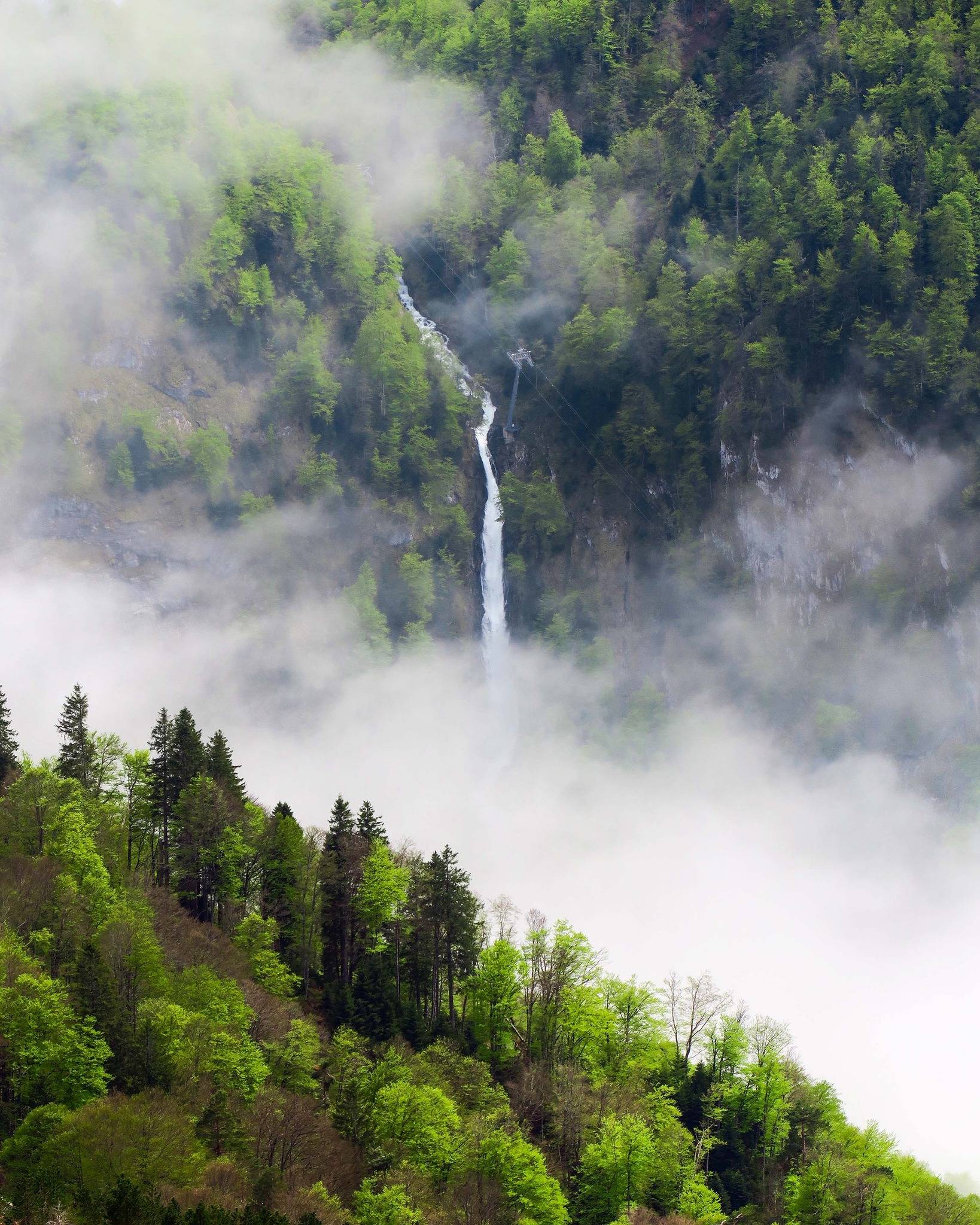 Photo de Cascade de Ley