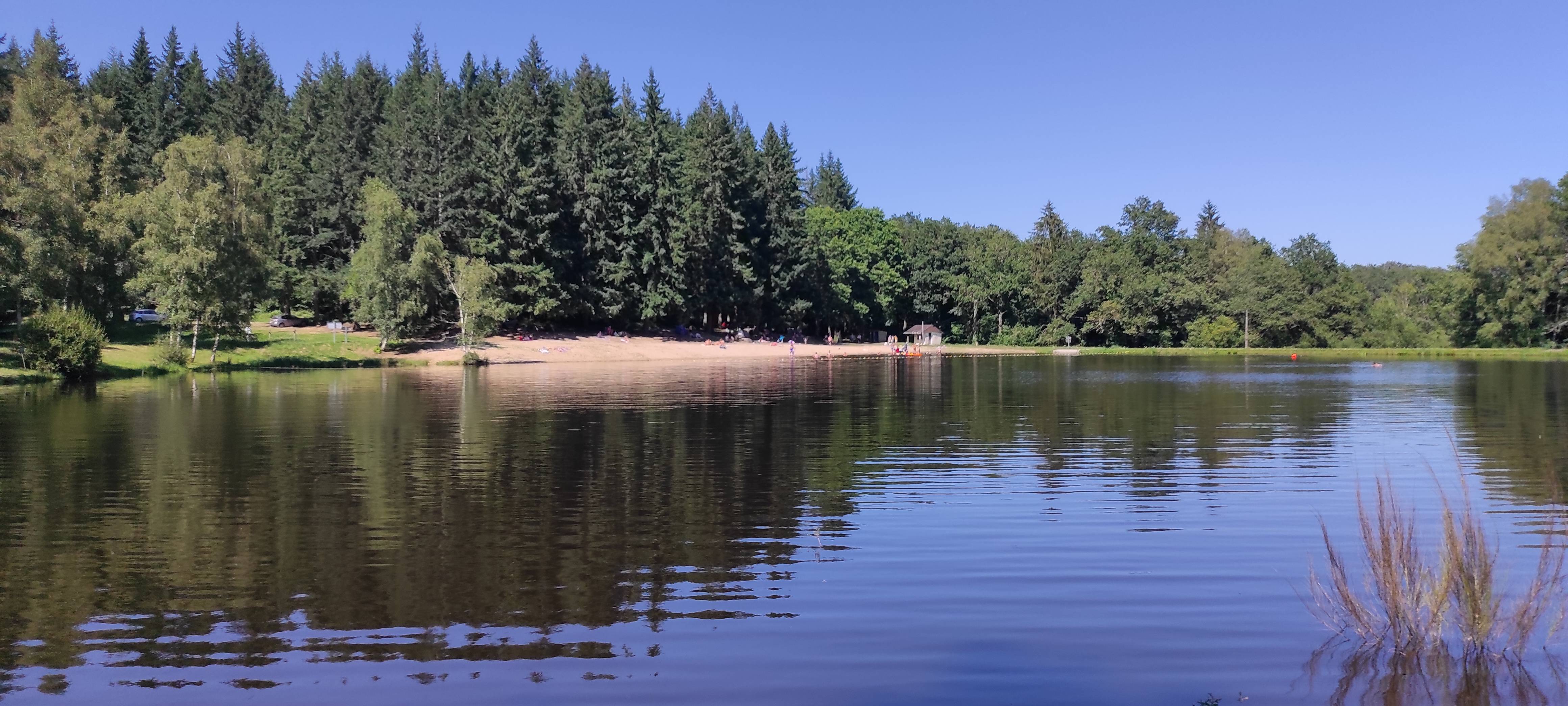 Photo de Etang de la Forêt