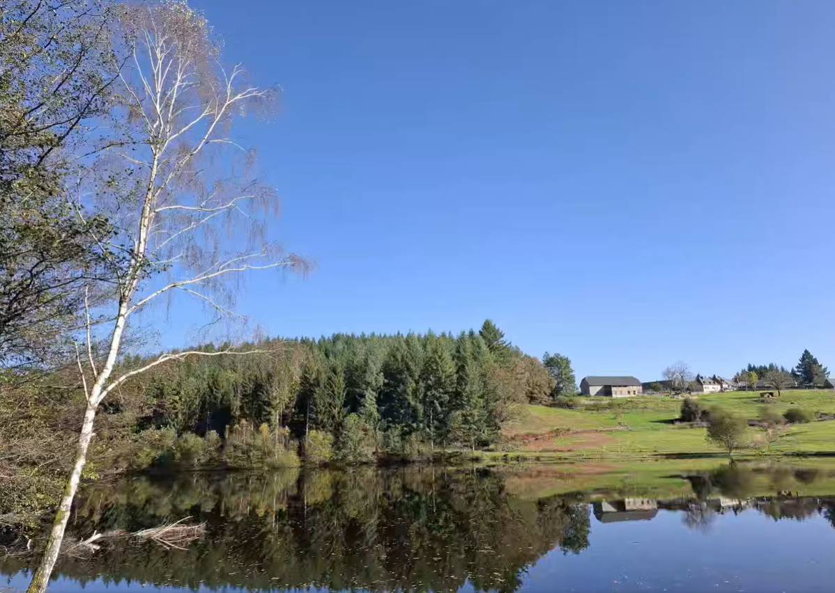 Photo de Etang du Domaine de La Romanée Sofia