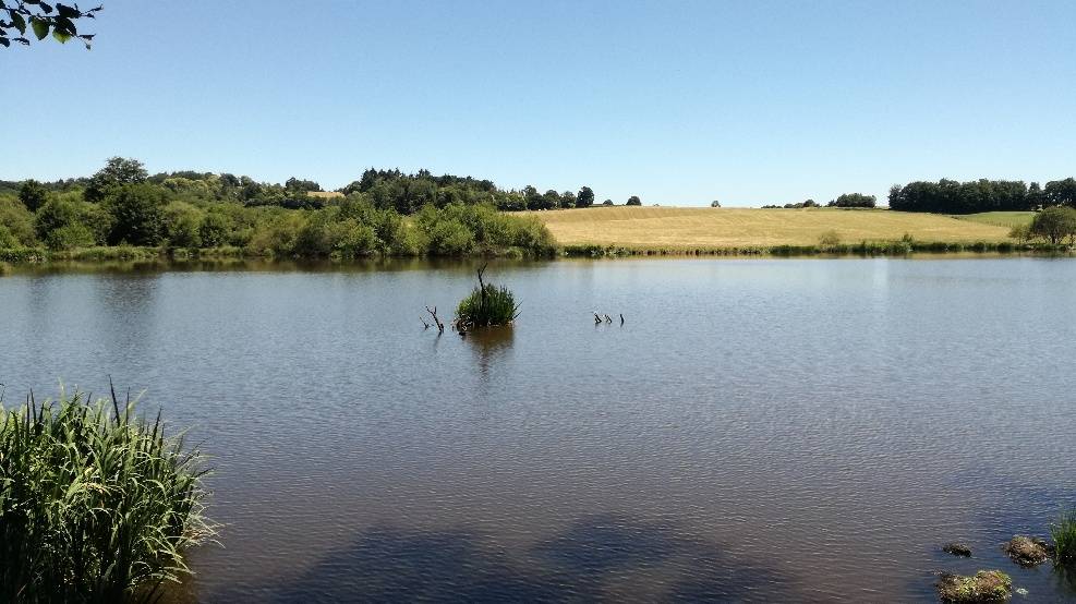 Photo de Étang de la Ganetorte