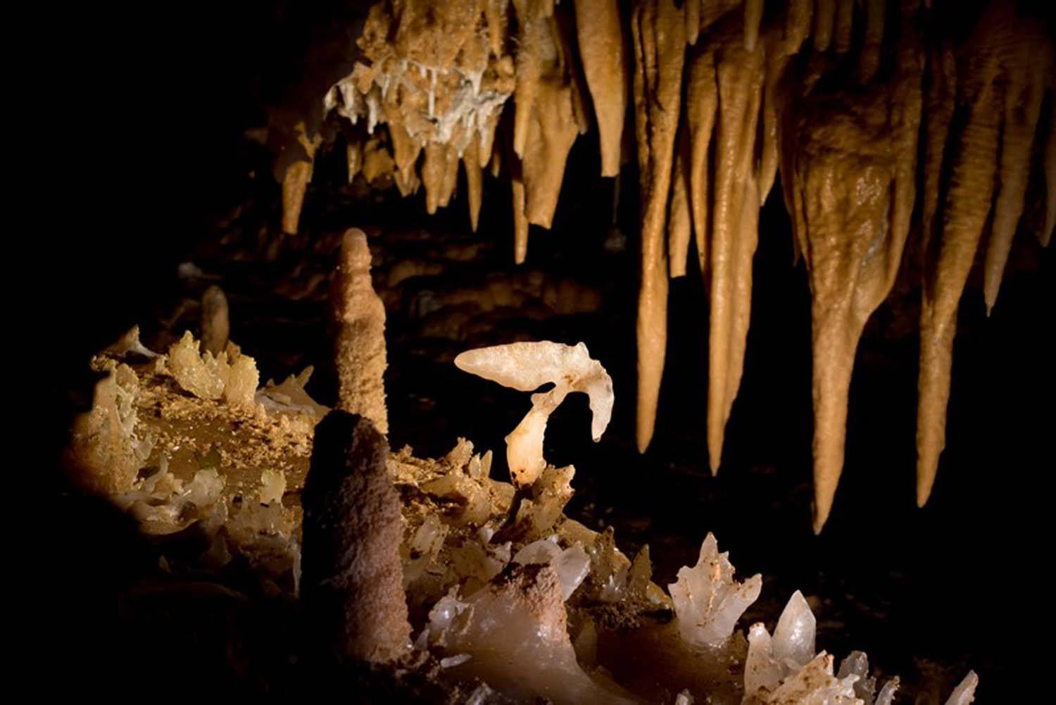 Photo de Grotte du Grand Roc