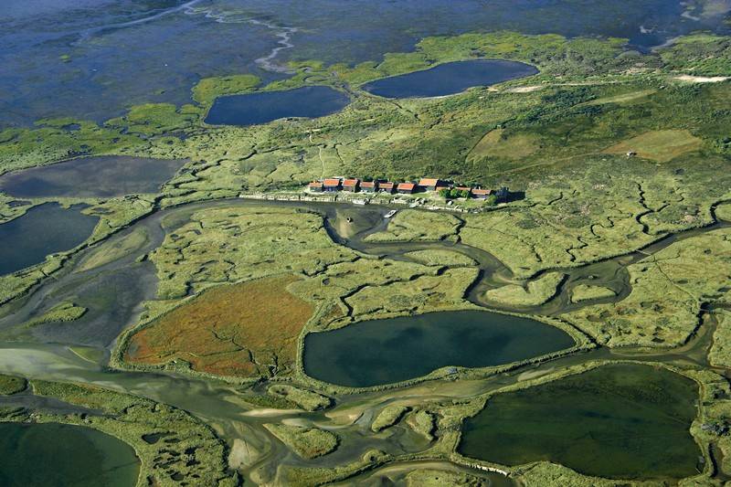 Photo de L'Ile aux Oiseaux