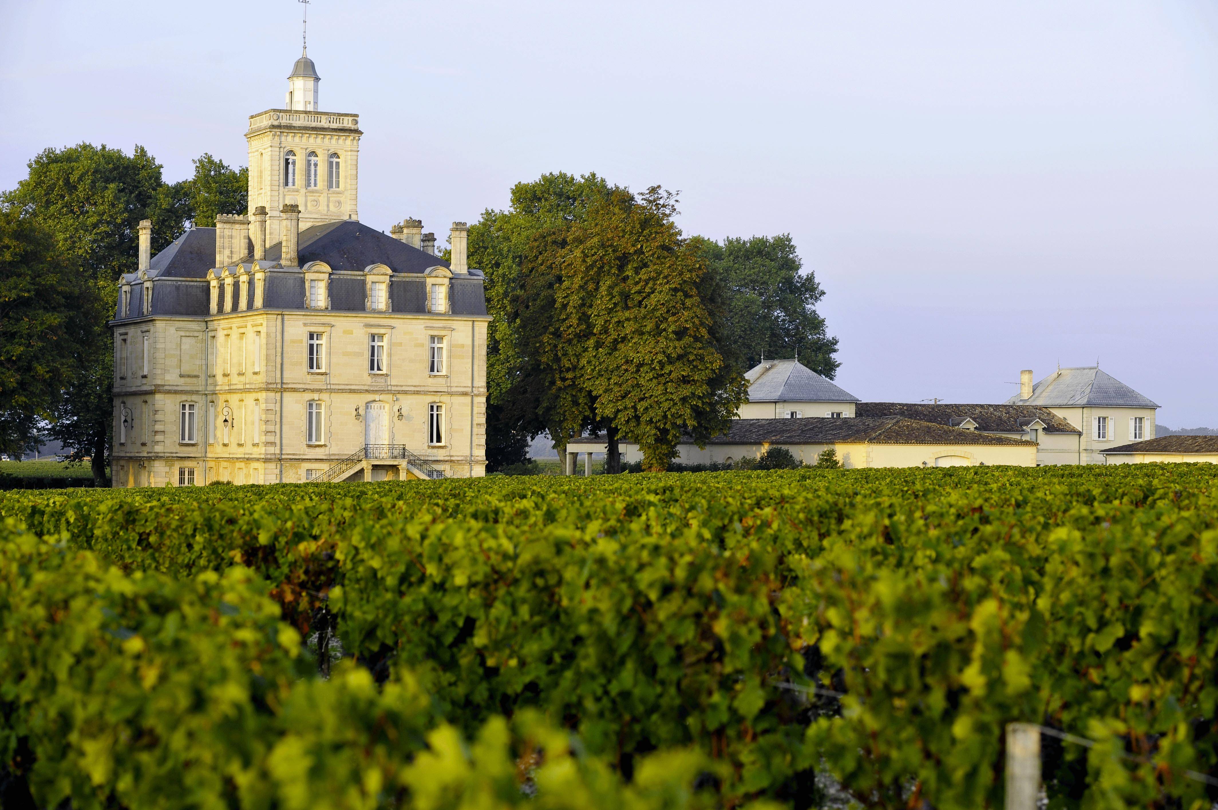 Photo : Château Larose-Trintaudon