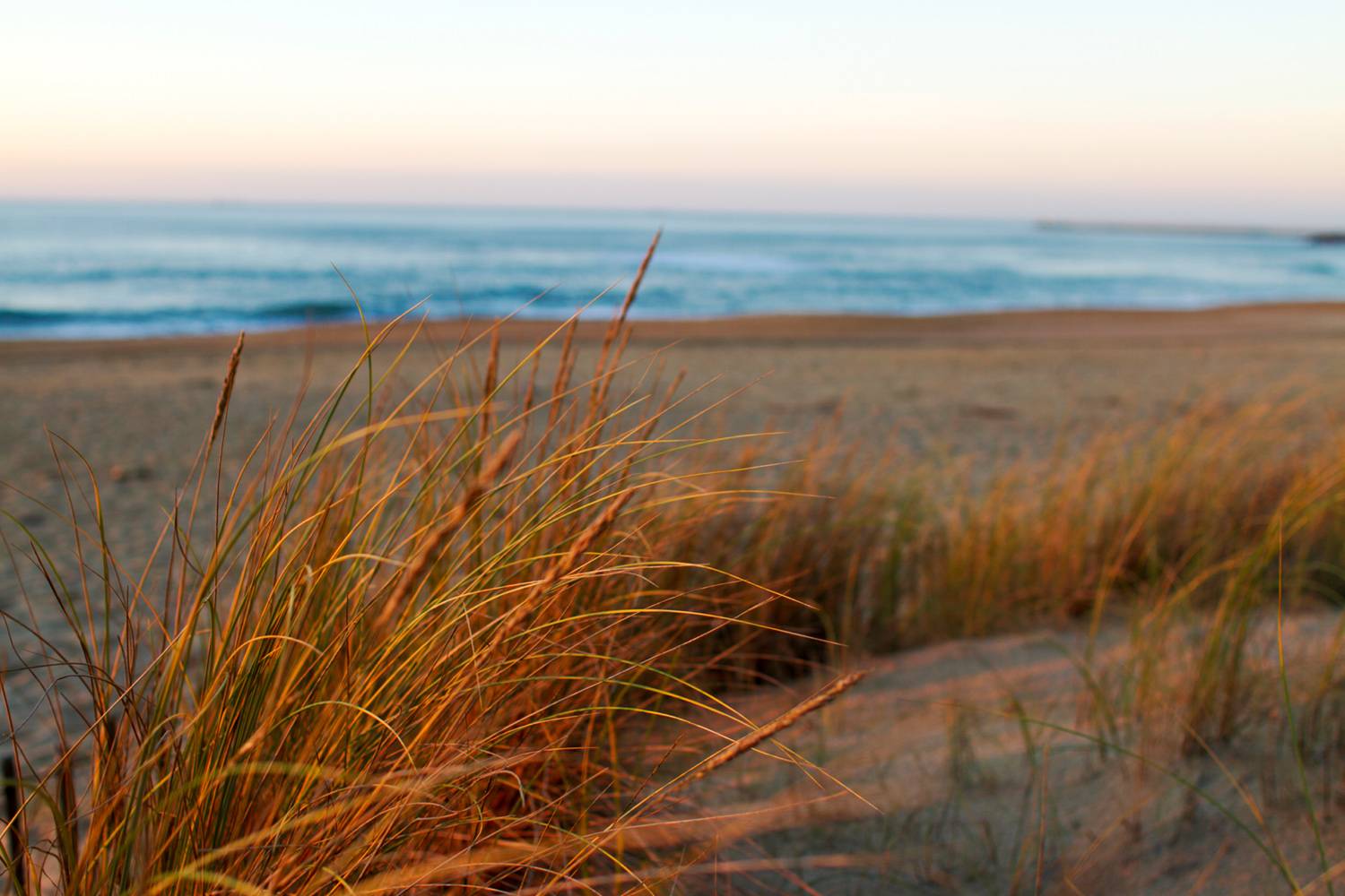 Photo de Plage de la Petite Madrague