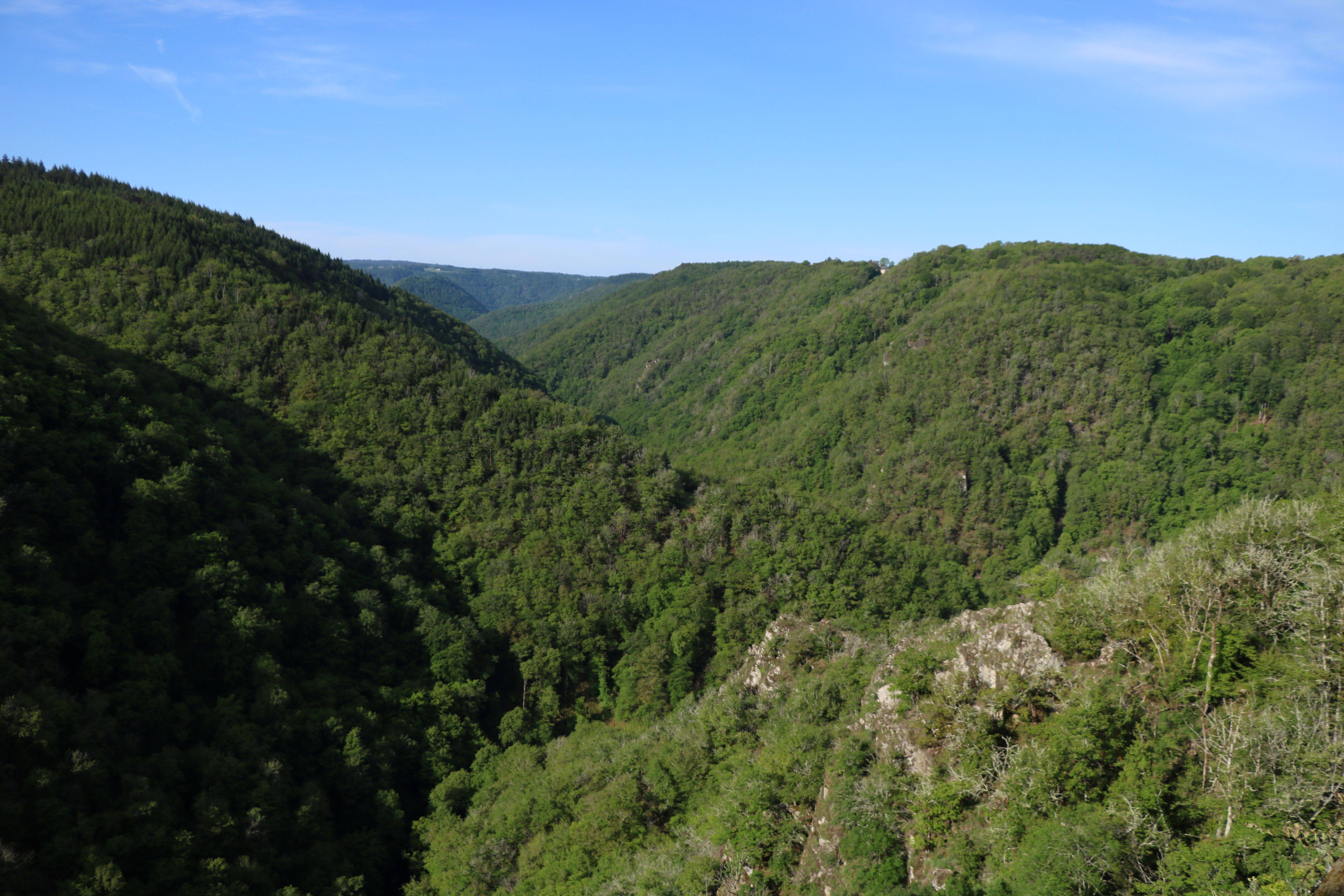 Photo de Les gorges de la Luzège